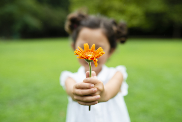 Thanks! A Strengths-Based Gratitude Curriculum for Tweens and Teens (Years 7-12)