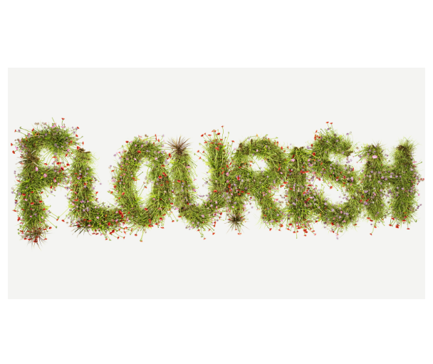 Listening to Flourish: Harnessing High-Quality Listening to Build Thriving Organisations