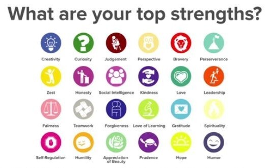 Editorial: VIA Character Strengths: Theory, Research and Practice