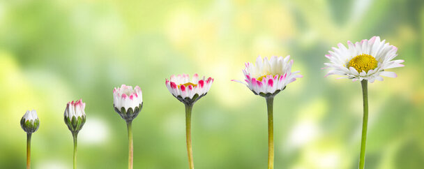 Optimism, Hope and Goals