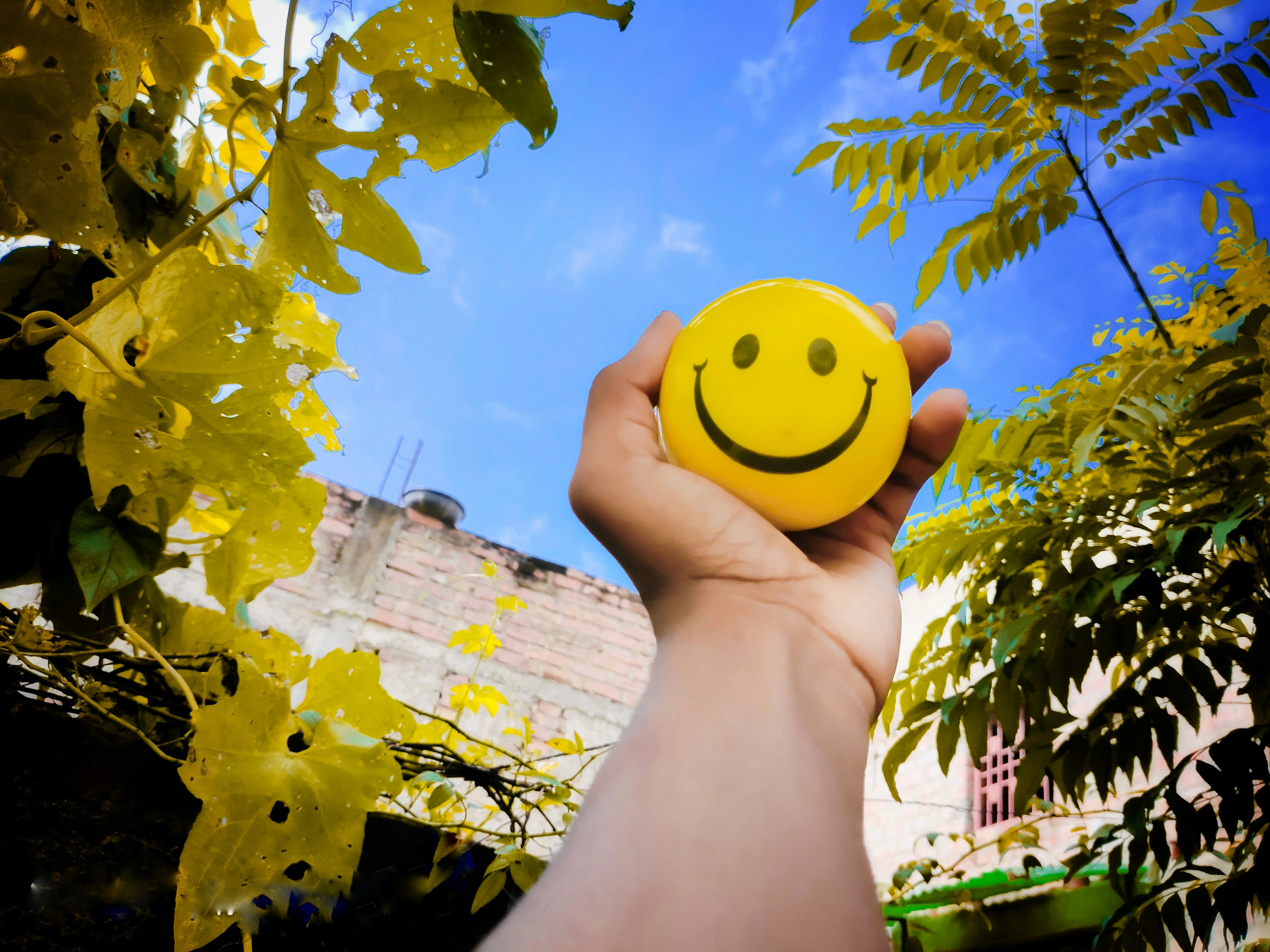 ACT Companion: The Happiness Trap App