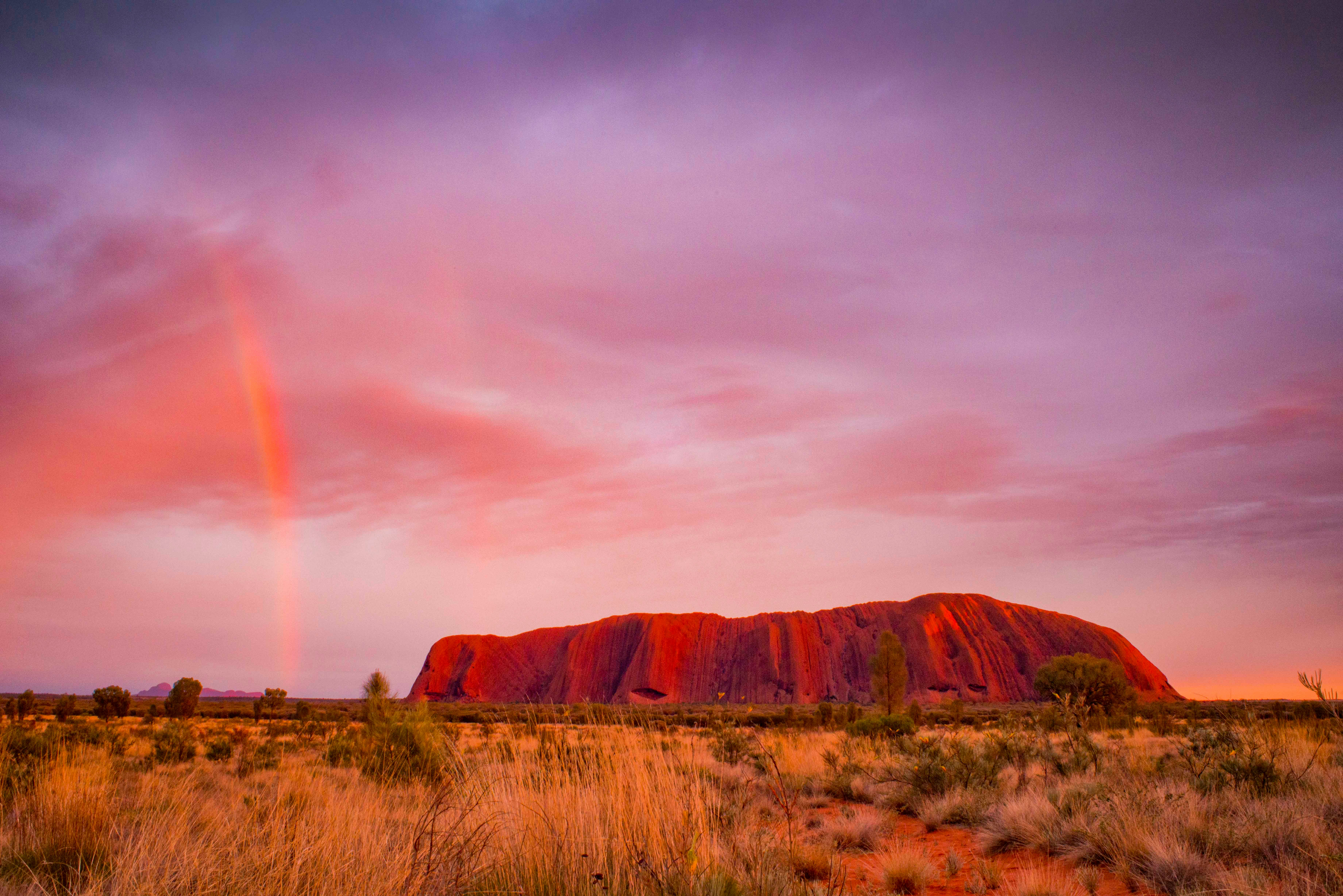 Mob mindfulness: How to care for yourself while honouring your culture